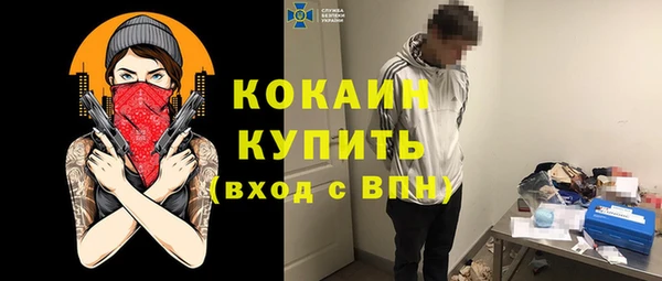 гидра Арсеньев