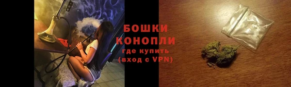 гидра Арсеньев