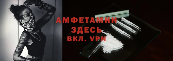 гидра Арсеньев